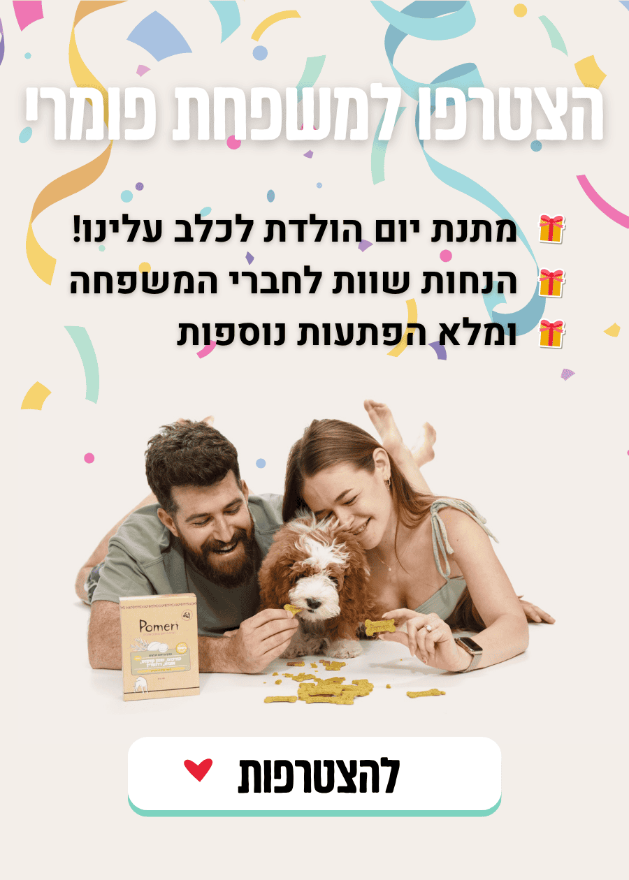 פומרי בייקרי