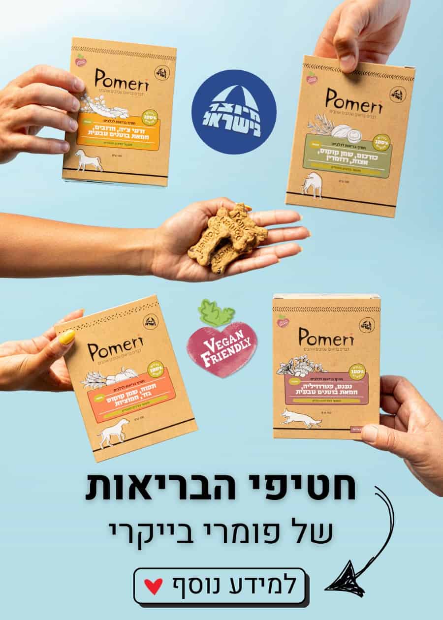 פומרי בייקרי